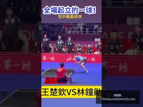 赤水河酒女,篮展望未来,力求再创辉,九游会官网,九游会App,九游会互动,九游会备用,九游会中心